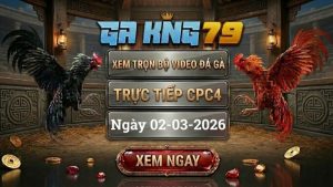 GAKING79 Xem Full Clip Da Ga Truc Tiep CPC4 Ngay 02032026 1