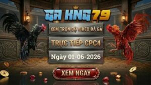 Xem Full Video Đá Gà CPC4 01/06/2026